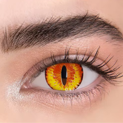 Dragon Eyes / ドラゴンの目