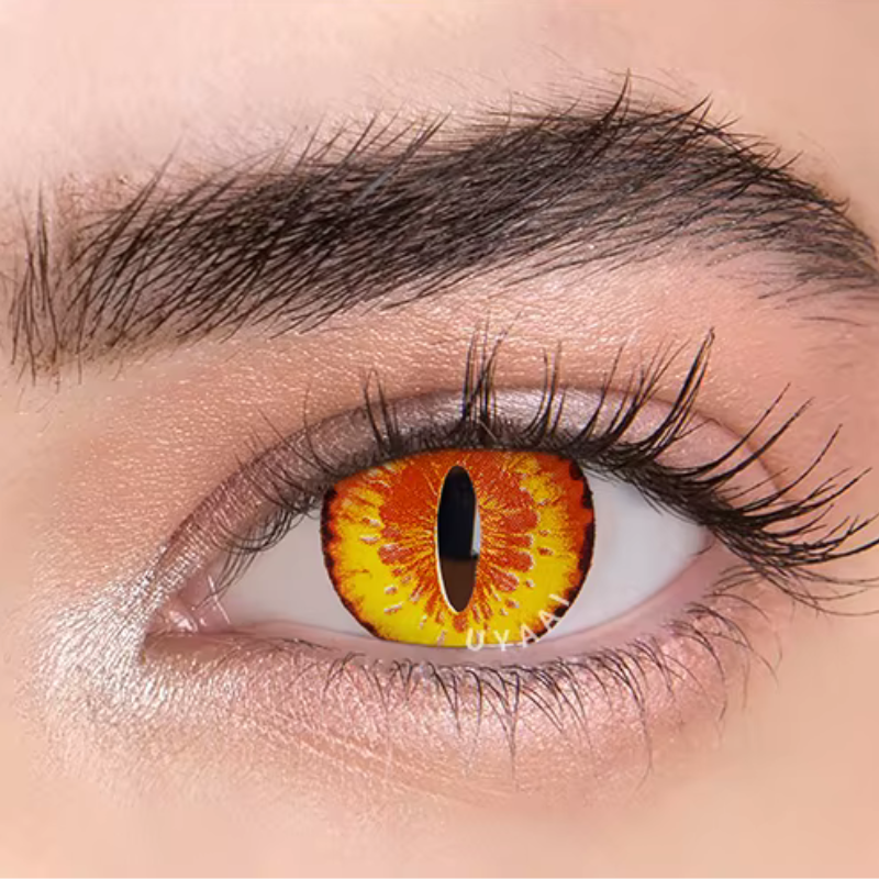 Dragon Eyes / ドラゴンの目